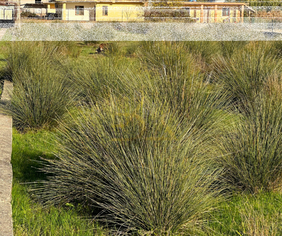 Shitet Tokë – Shëngjin, Lezhë