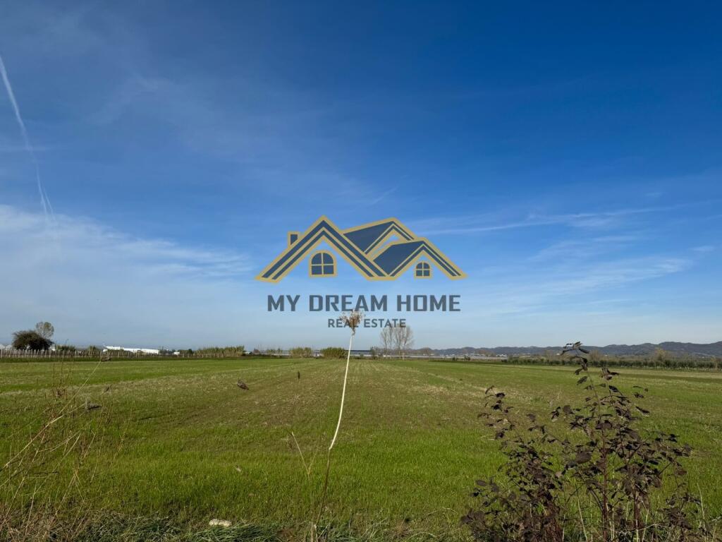 SHITEN 6735 M2 TOKE ARE NE KOXHAS SHIJAK !