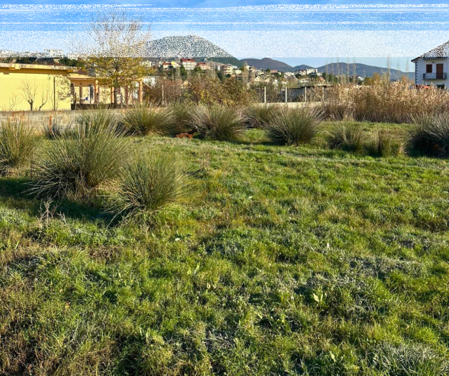 Shitet Tokë – Shëngjin, Lezhë