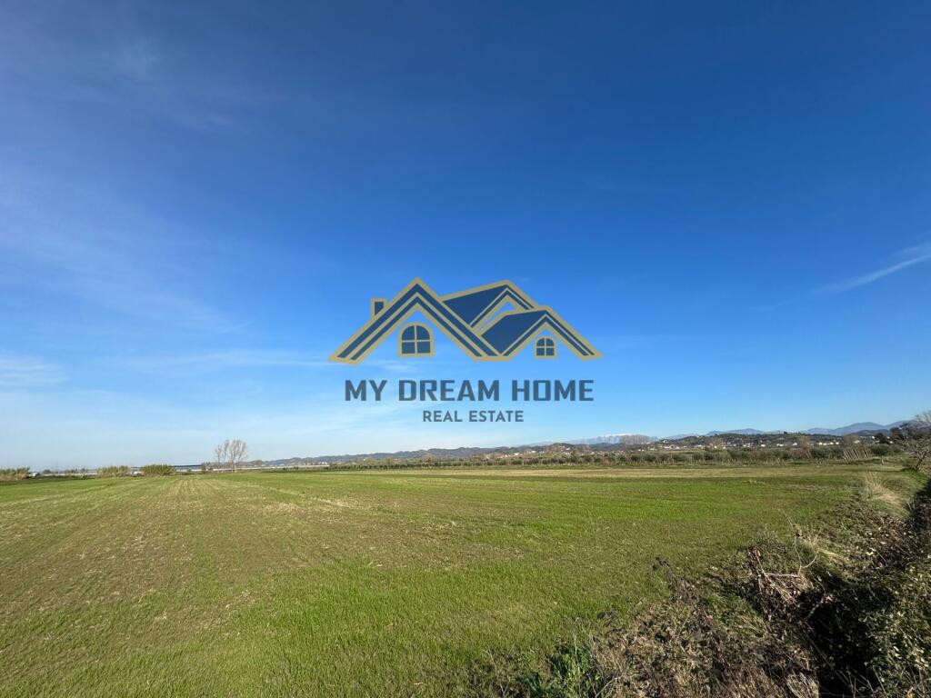 SHITEN 6735 M2 TOKE ARE NE KOXHAS SHIJAK !