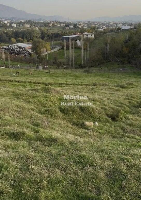 Shitet, Toke Truall, Babrru , 270.000 euro