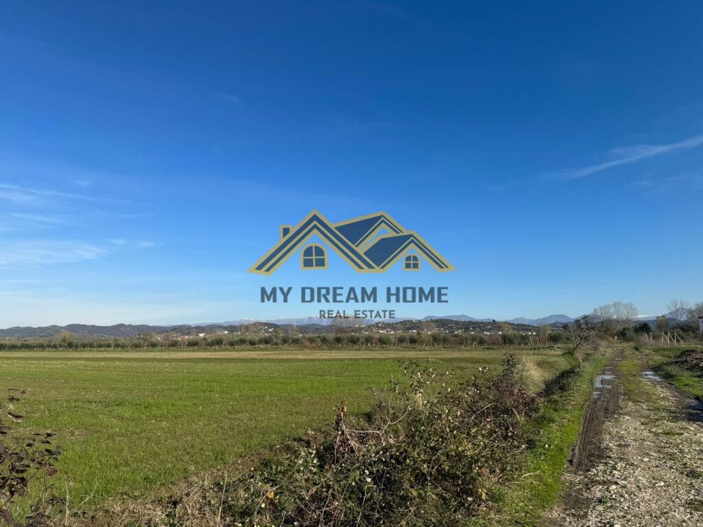 SHITEN 6735 M2 TOKE ARE NE KOXHAS SHIJAK !