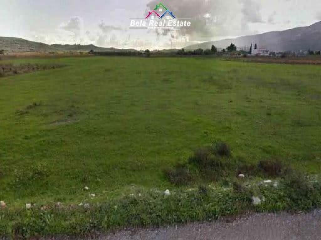 Toke- Are Ne Shitje Ne Farke (ID BT83) Tirane