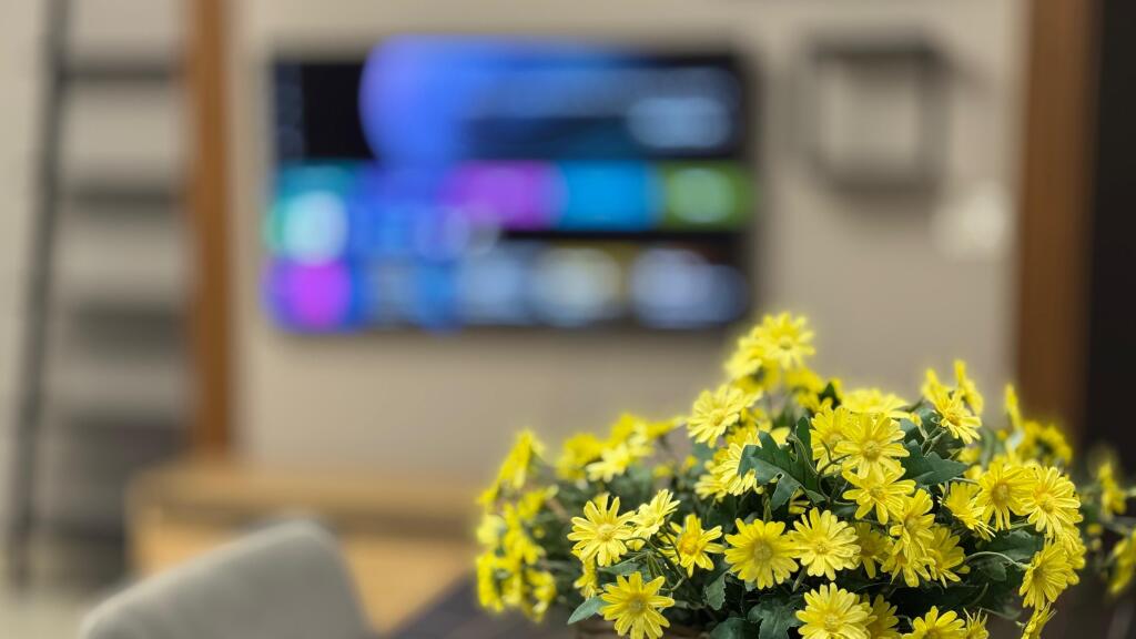 Appartamento 2+1 in Affitto con Vista Panoramica – Giardino Botanico