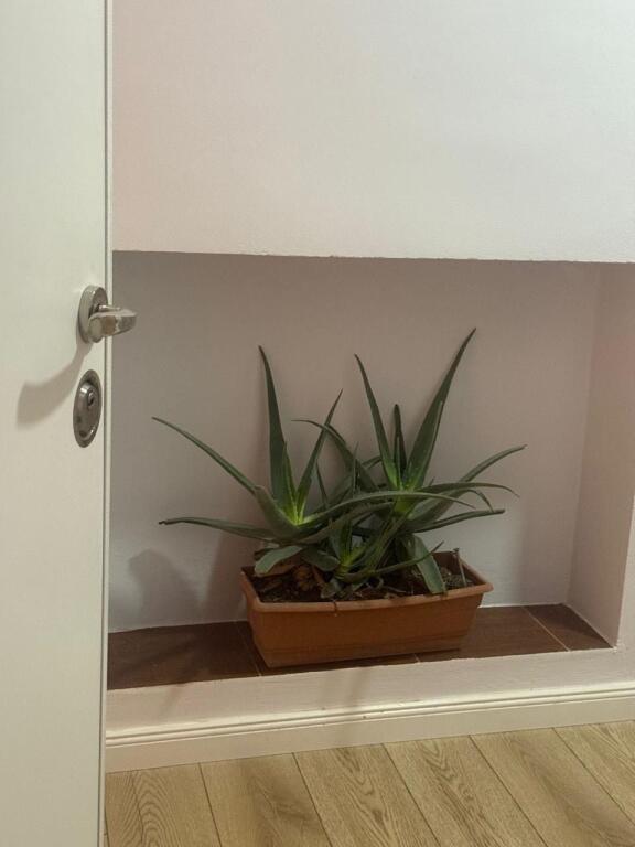 Jepet Me Qera Apartament 2+1+1 Ballkon