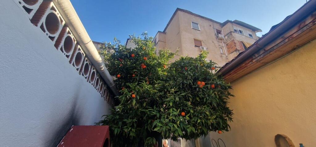 Shitet shtepi private ne qender te Tiranes