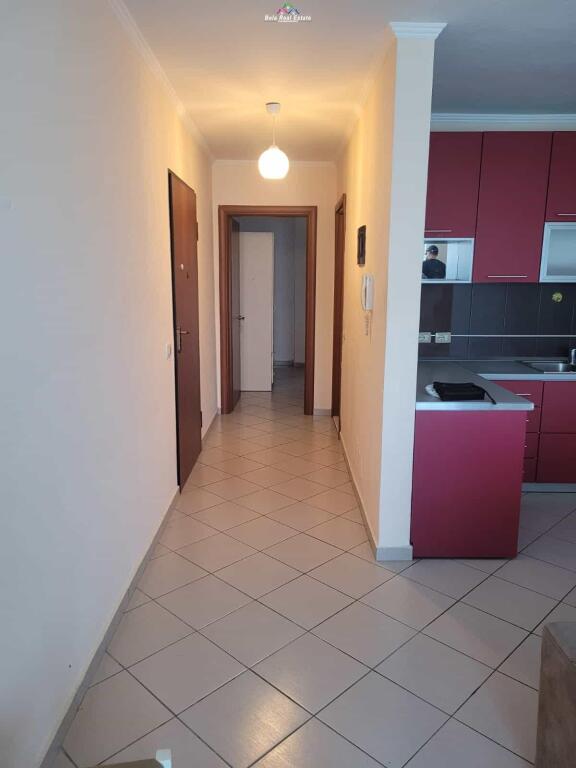 Apartament Ne Shitje 1+1 Tek Komuna E Parisit (ID B110504) Tirane