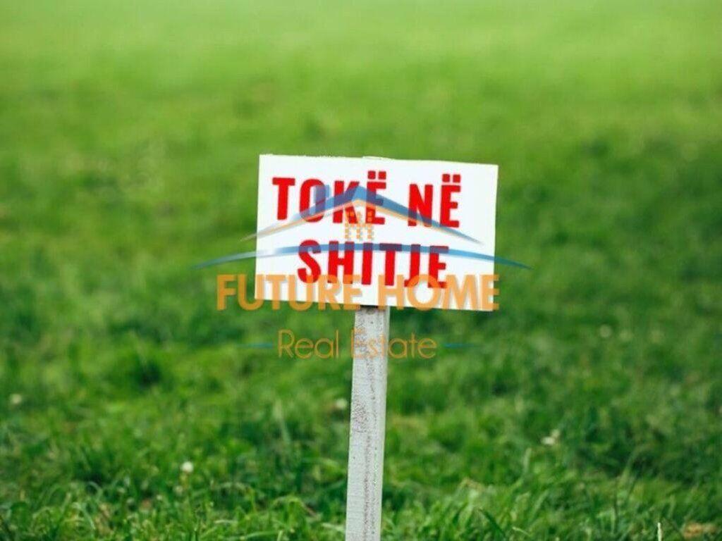 Tokë, Allias, Tirane.