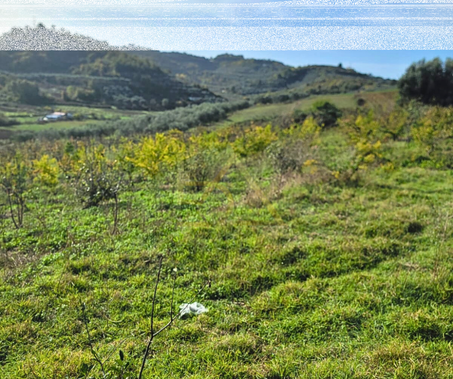 Shitet Tokë – Shkallnur, Durrës