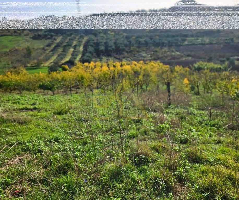 Shitet Tokë – Shkallnur, Durrës