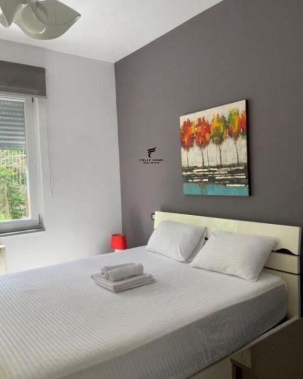 APARTMENT FOR RENT 1+1 OLD SELITA 60,000 LEKE