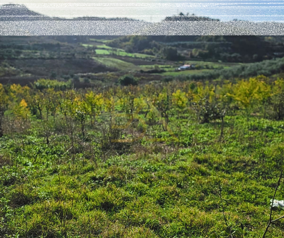 Shitet Tokë – Shkallnur, Durrës