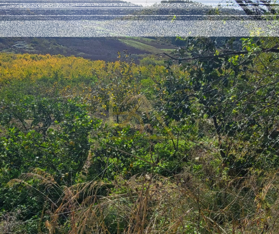 Shitet Tokë – Shkallnur, Durrës