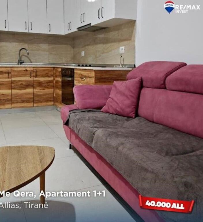 Jepet me qira apartament 1+1 – Allias, Tiranë(MLS # 530581008-65)