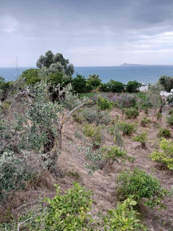 SHITET TOKË NË KARPEN – KAVAJË