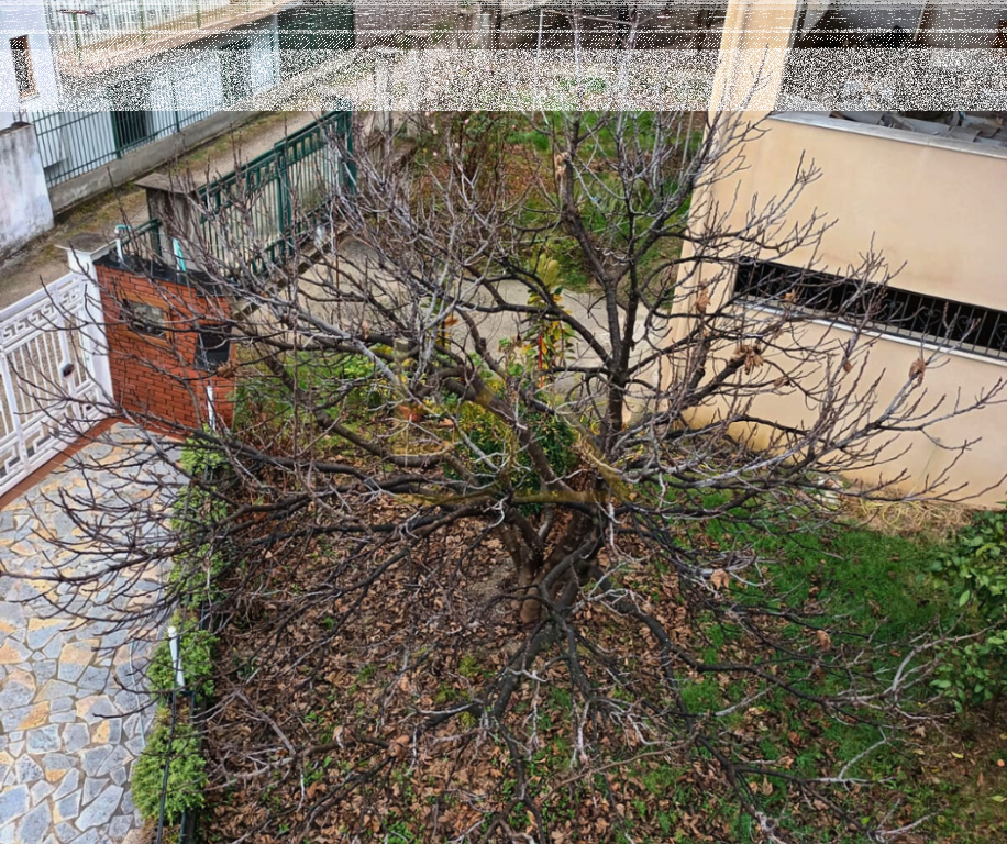 Shitet – Vilë 4-Katëshe, Shkozet, Tiranë