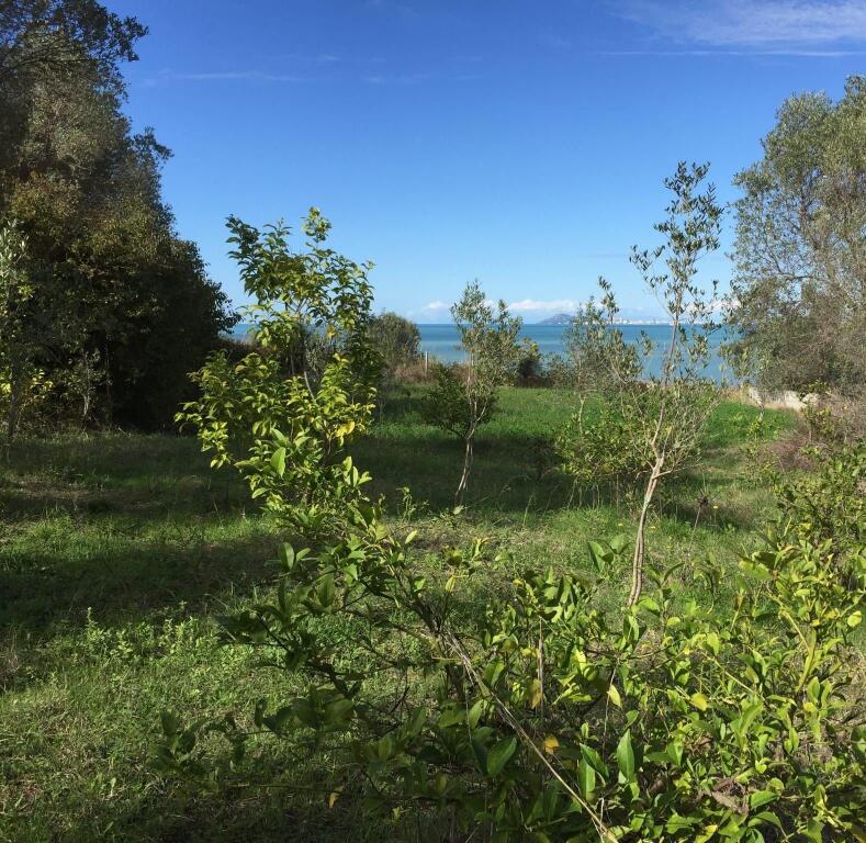 SHITET TOKË NË KARPEN – KAVAJË