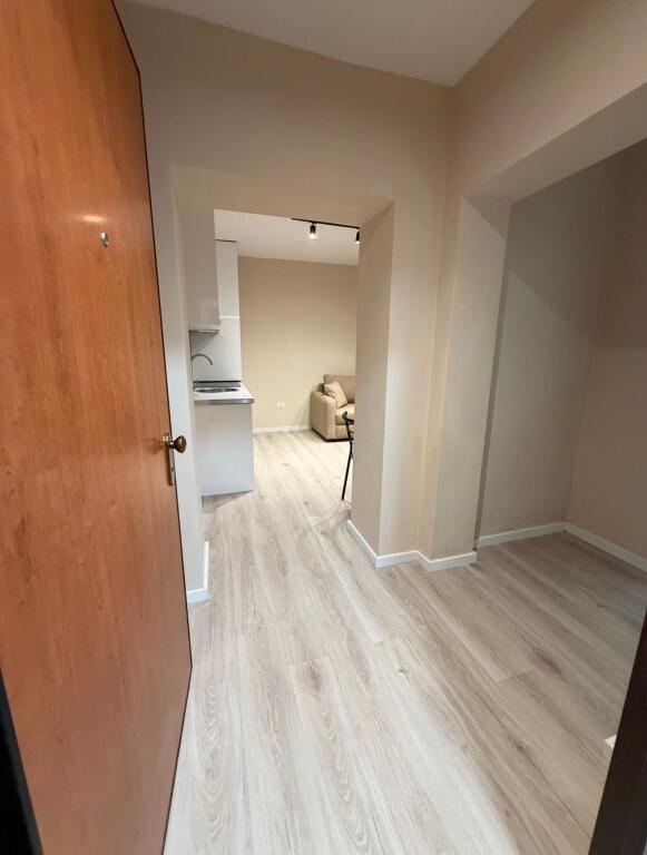 Rent, Apartment 1+1 Oxhaku Tirana