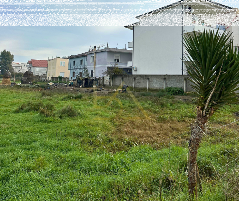 Shitet Tokë për Zhvillim – Durrës
