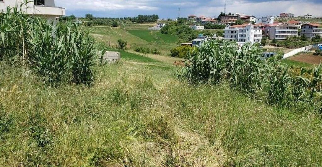 6200 m2 land for sale, Arapaj, Durres