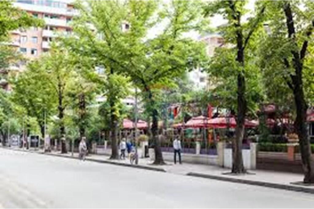 Ambient per qira ne bllok dhe shitje biznesi!