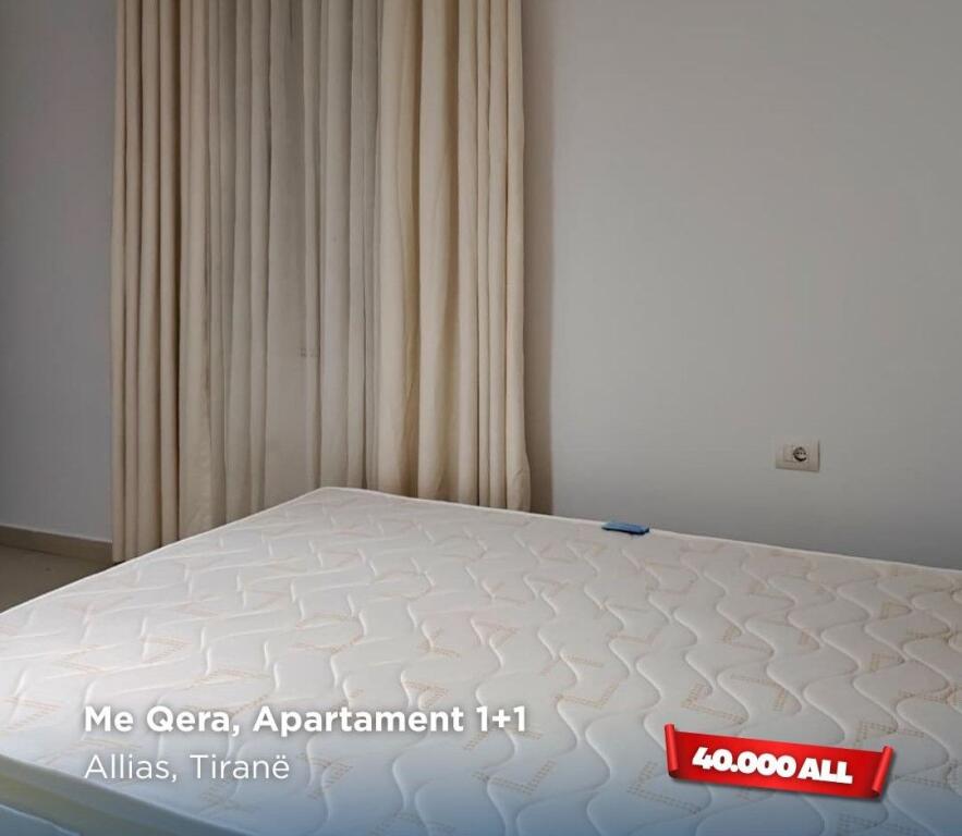 appartamento 1+1 in affitto a allias