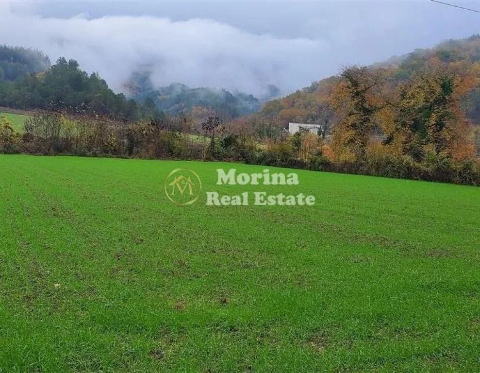 Shitje | Tokë / Truall | Petrelë | 315000 €