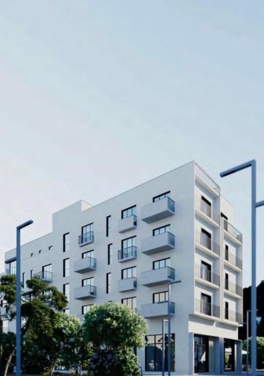 AP 1+1 NE SHITJE TE LIQENI I THATE