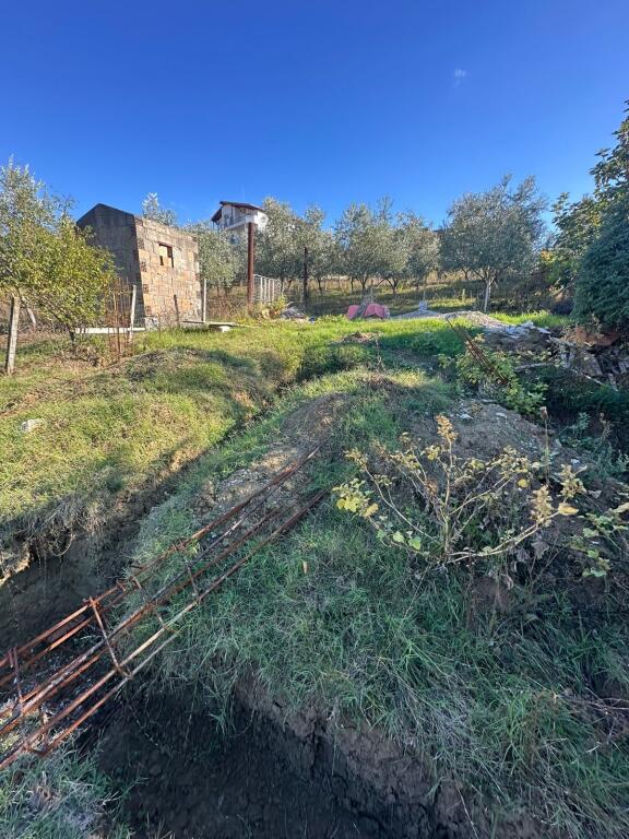 🔴 SHITET TOKË NË FARKË – ZONË E KUQE 🔴