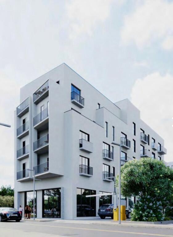 AP 1+1 NE SHITJE TE LIQENI I THATE