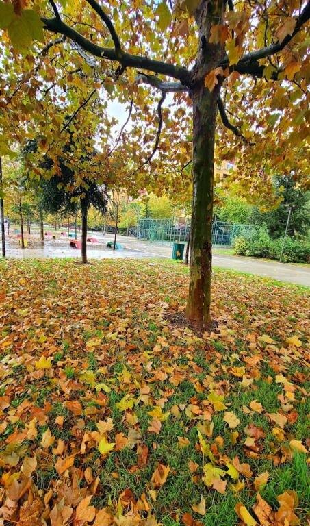 Shitet Apartament 2+1 dhe 2 Poste Parkimi, Fusha e Aviacionit