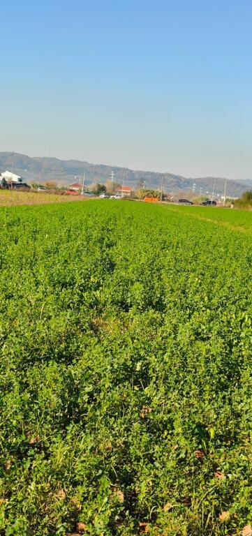 💥📍 Shitet toke në Rinas – Mundësi e Artë Investimi afat gjate biznesi 🔥