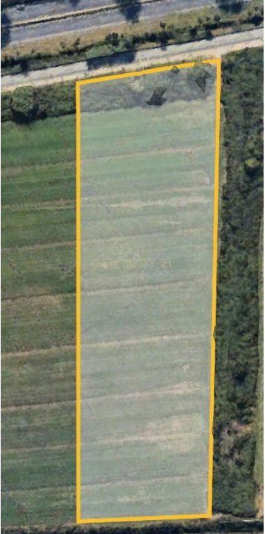 EXCLUSIVE! TOKË PËR SHITJE NË VIJË TË PARË – AUTOSTRADA TIRANË-DURRËS