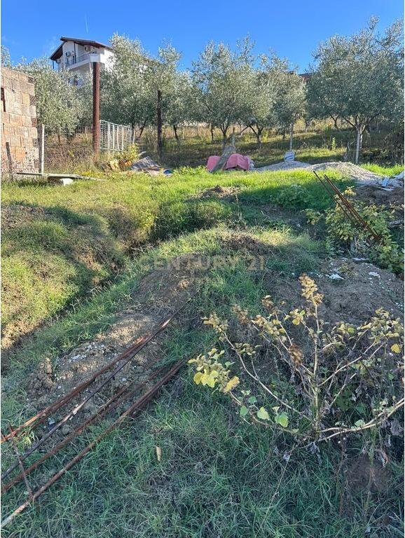 SAUK, SHESIM TOKE TRUALL