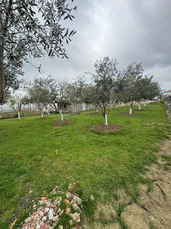 VILË NË SHITJE GOLEM LUSHNJE