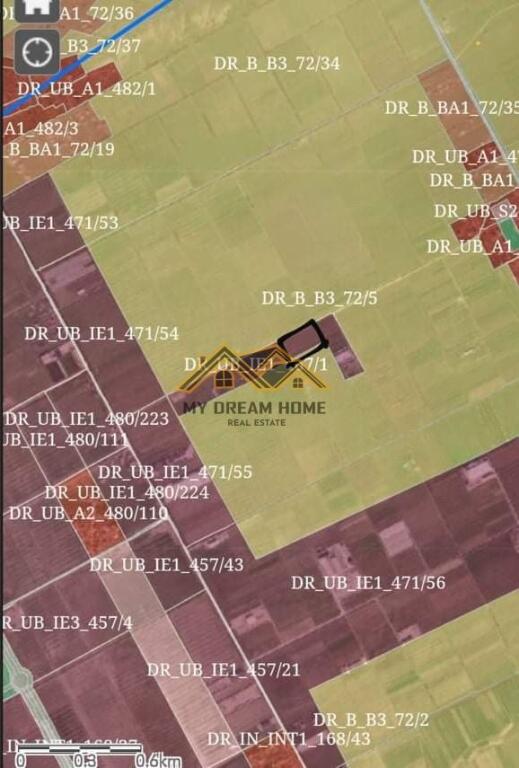 SHITET TOKE NE BISHT KAMEZ DURRES