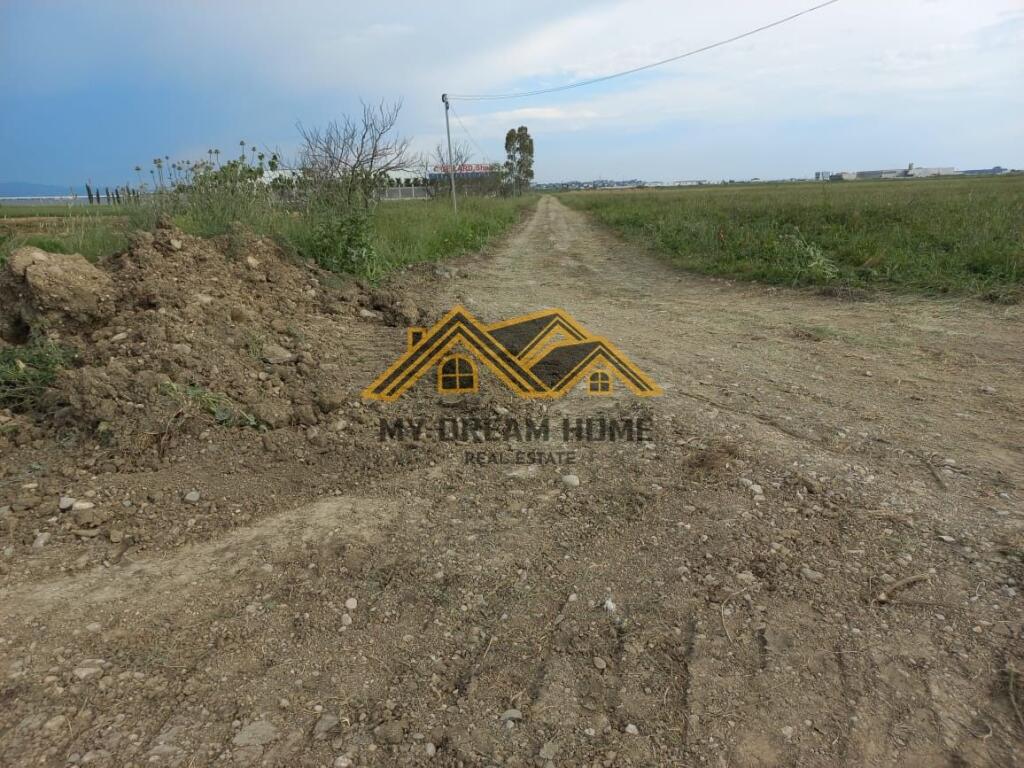 SHITET TOKE NE BISHT KAMEZ DURRES