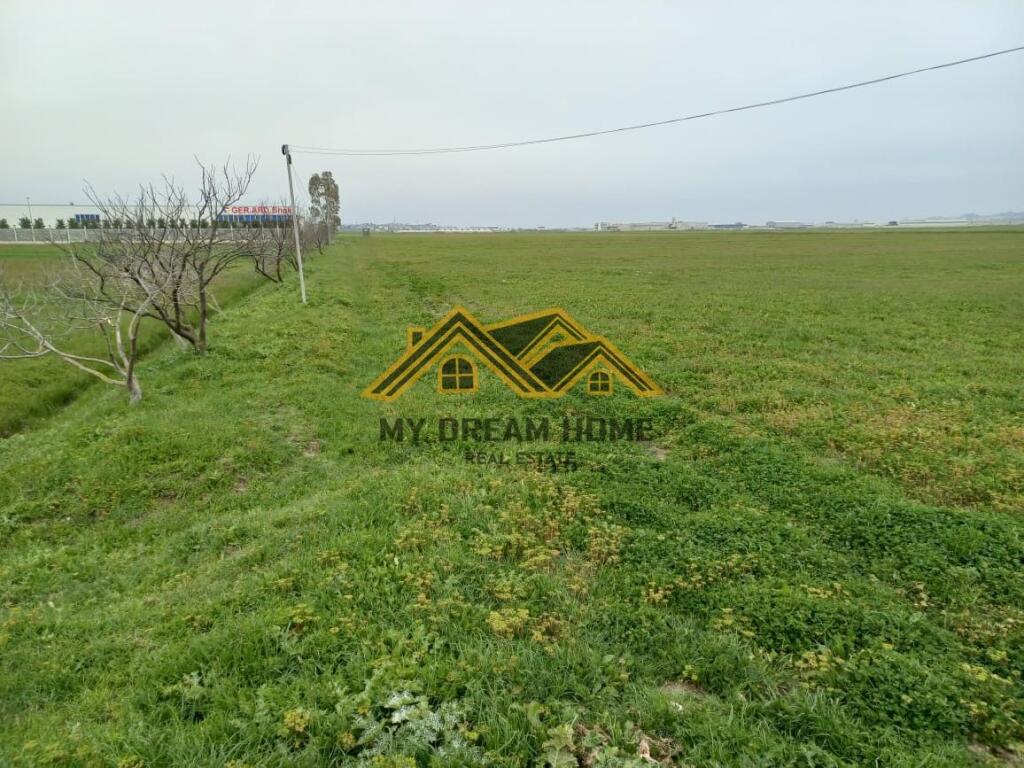 SHITET TOKE NE BISHT KAMEZ DURRES