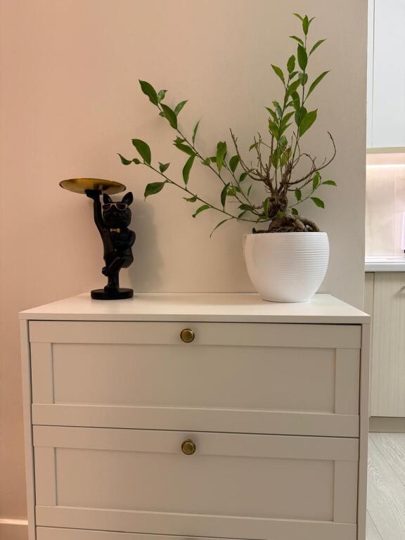 Shesim Apartament 1+1 Rruga Arkitekt Kasemi!