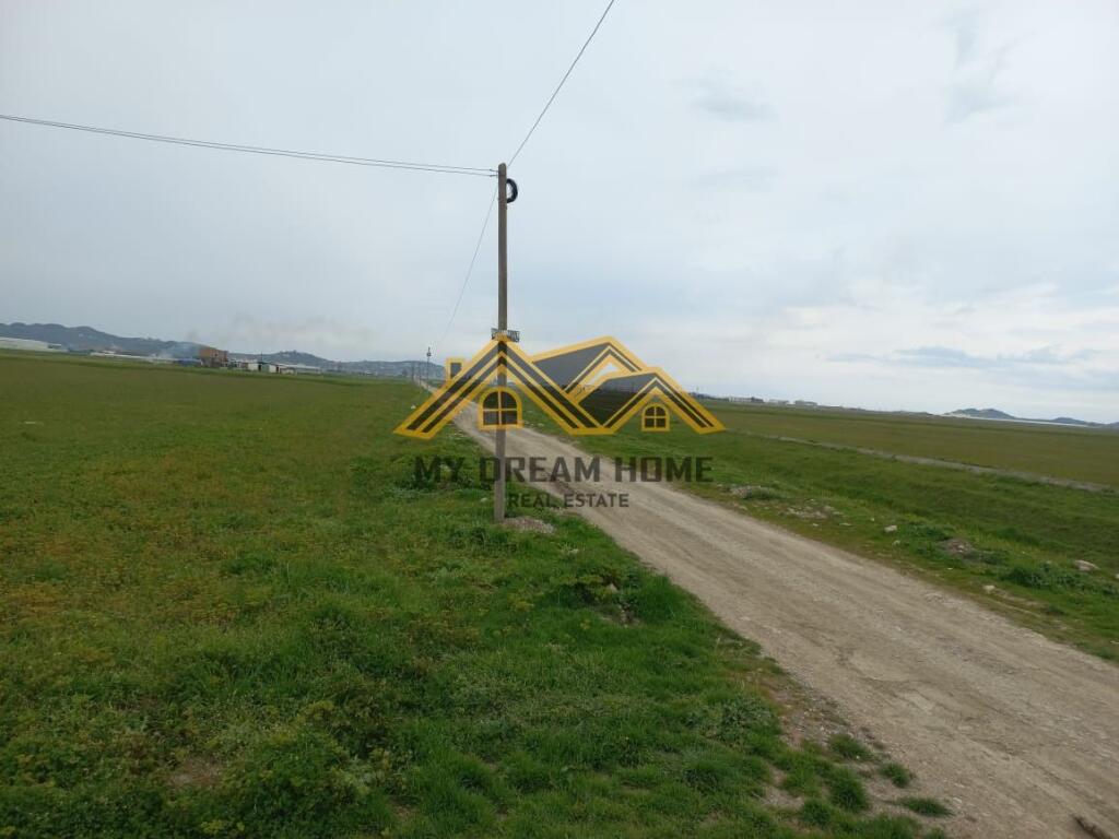 SHITET TOKE NE BISHT KAMEZ DURRES