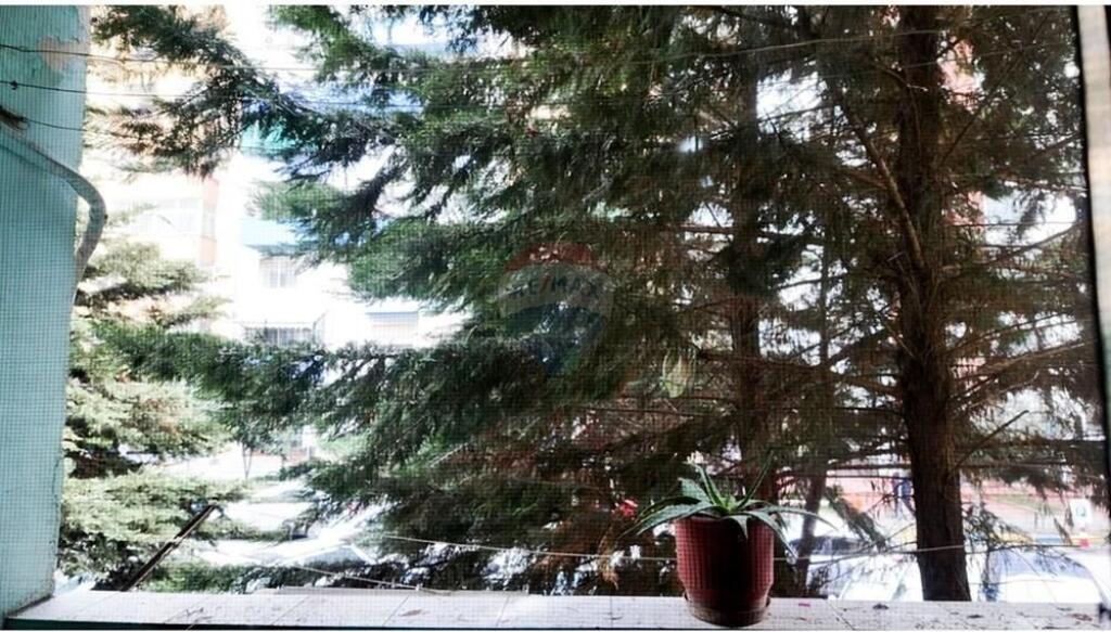 Apartament per qera 3+1+2 tek Petro Nini