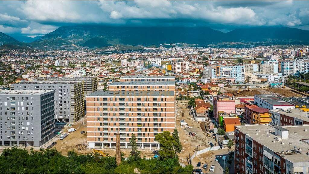 Ambient Zyre, Don Bosko