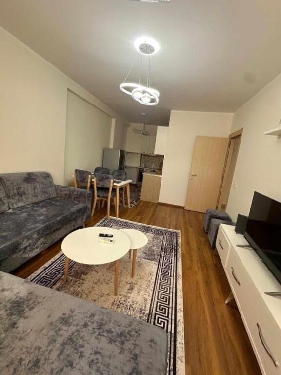 Appartamento in Affitto 1+1 a Komuna e Parisit (ID B2101401) Tirane