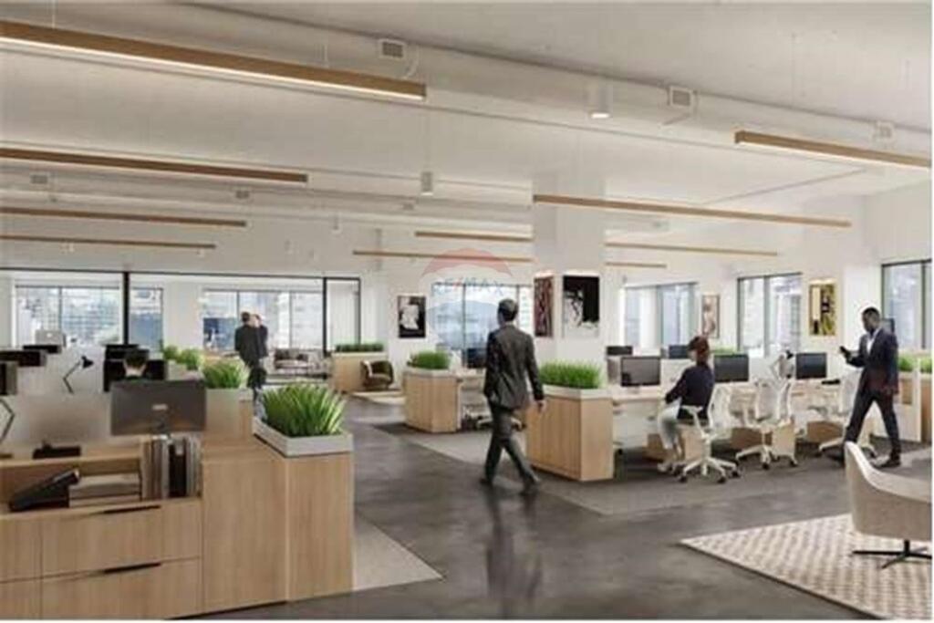 Zyre per shije te rruga Frang Bardhi ( Kodra e Diellit)
