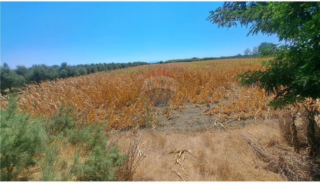Tokë Bujqësore për Shitje, Novoselë, Vlorë
