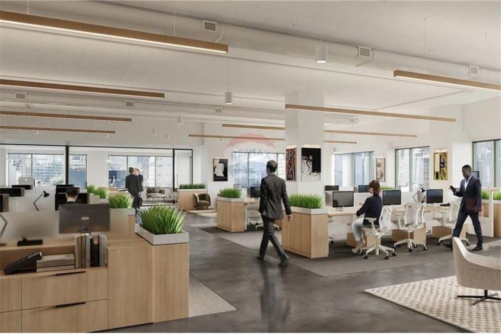 Zyre per shije te rruga Frang Bardhi ( Kodra e Diellit)
