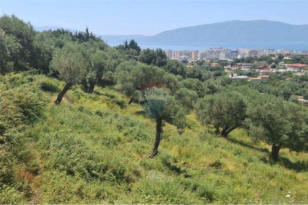 Tokë Bujqësore për Shitje, Kuzum Baba, Vlorë