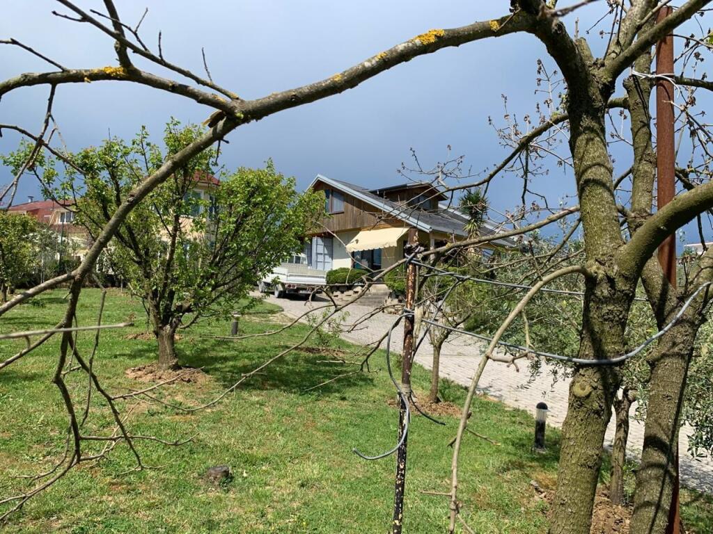 Shitet prone ne Peze