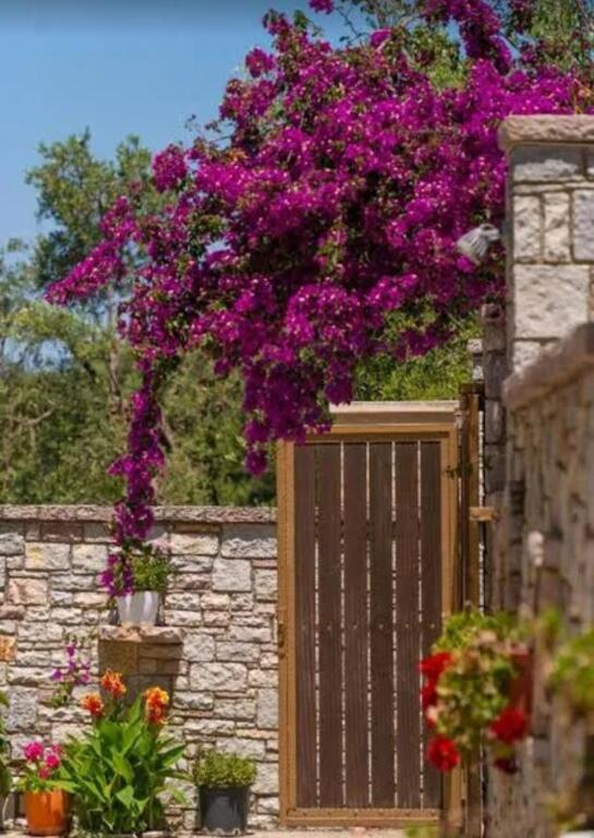 shitet ose jepet me qera  hotel  