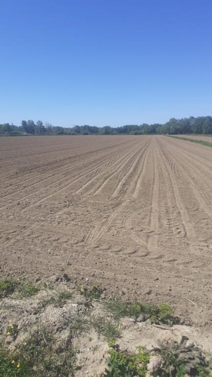 Rrogozhine, shes toke bujqesore , 3.000 m² (Vile Bashtove)